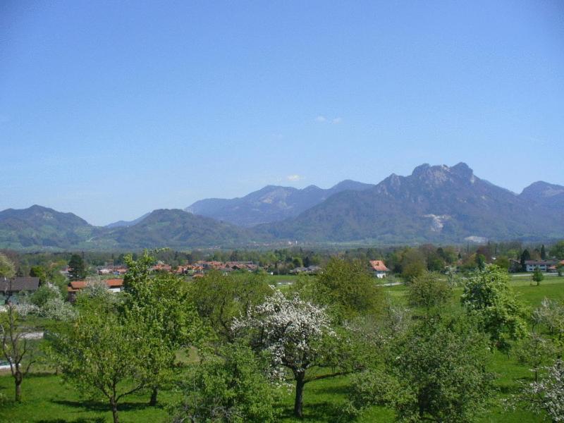 Pension Berghof Otel Brannenburg Dış mekan fotoğraf